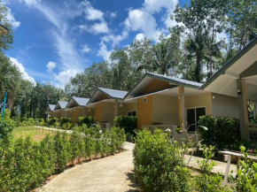 honeyhome kohkood